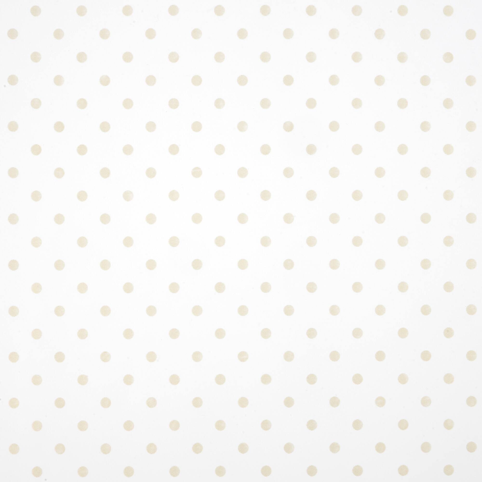 Gold Dot Transparent Packaging Wrap by Celebrate It™
